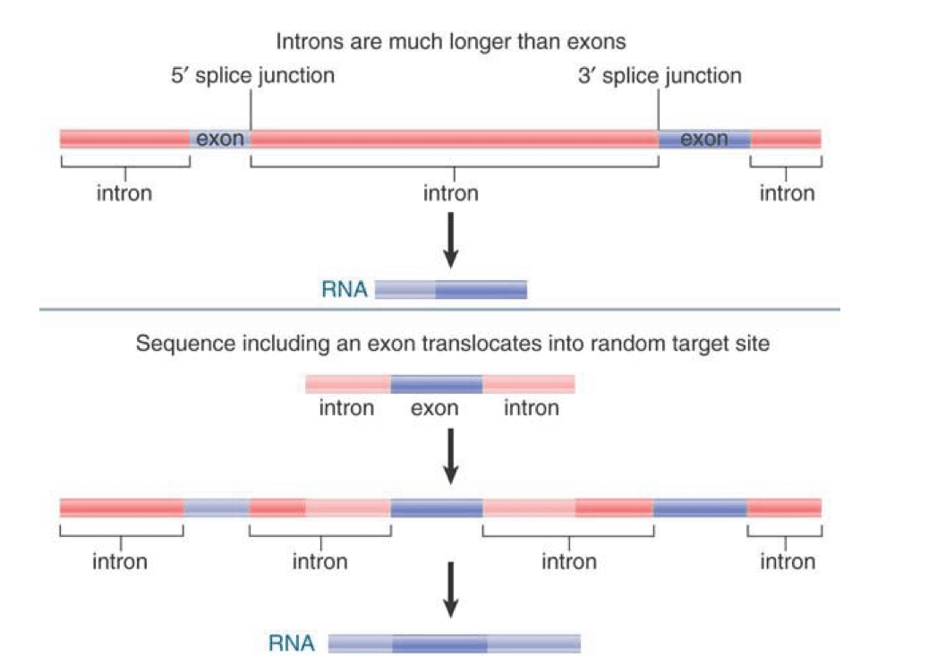 notion image