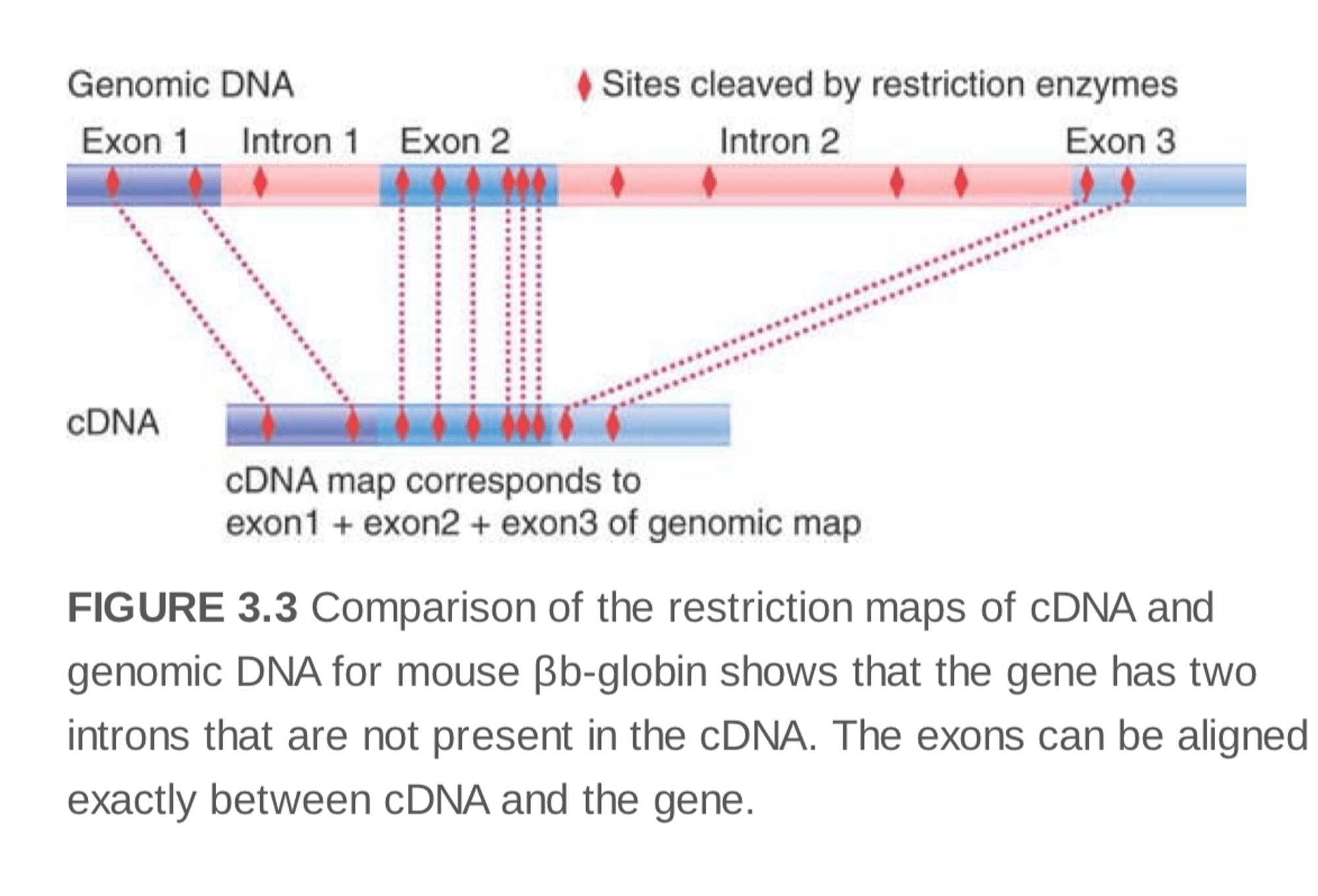 notion image