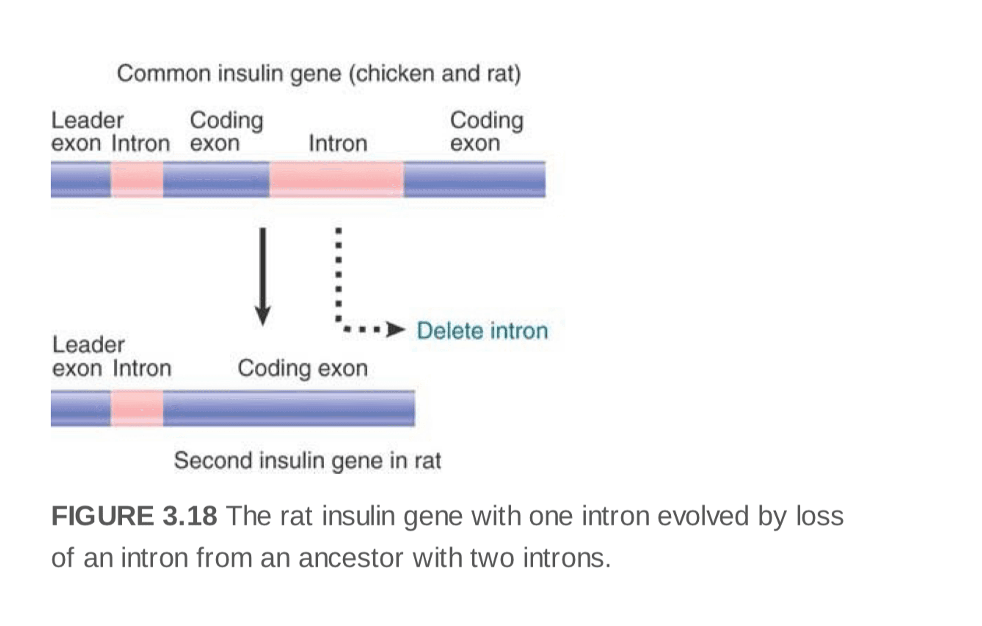 notion image